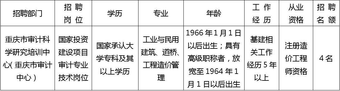 锦江区审计局最新招聘公告详解