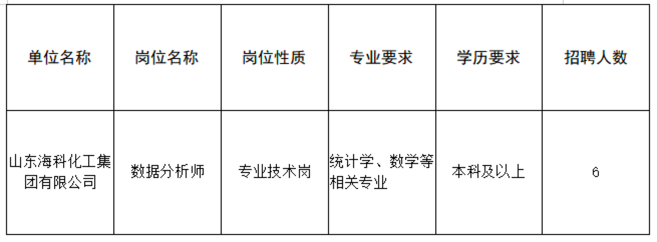 东营市审计局最新招聘公告详解