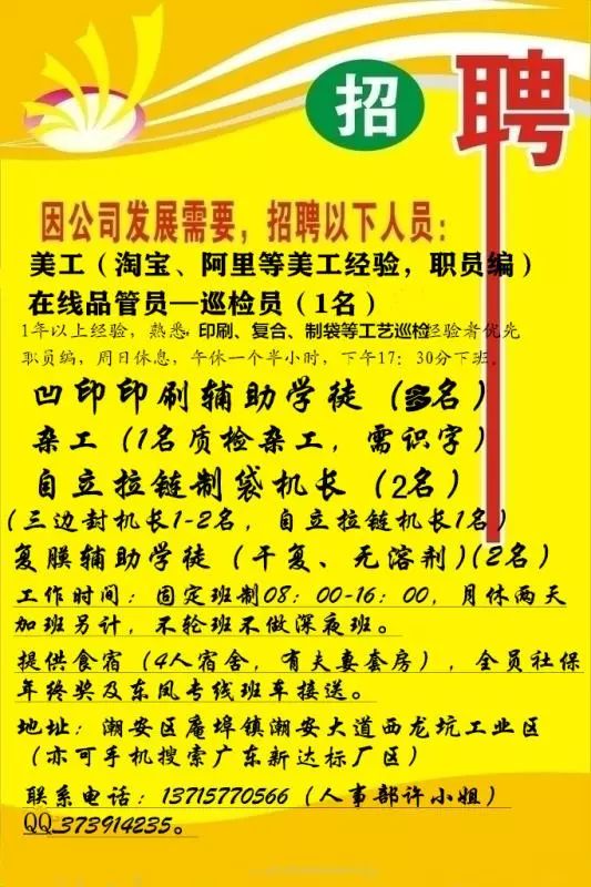 肥田乡最新招聘信息全面解析