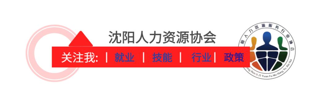 沈阳市国家税务局最新招聘公告概览