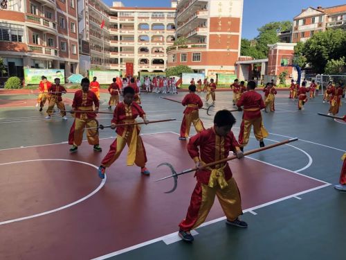 鲤城区小学最新动态报道