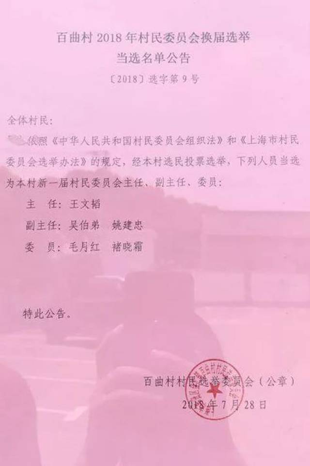 毛湾村委会人事任命揭晓，开启村级治理新篇章