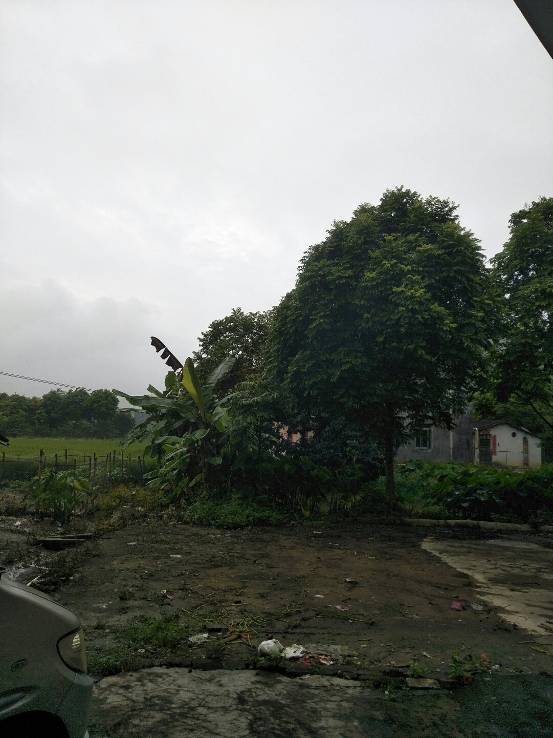 红场镇天气预报更新通知