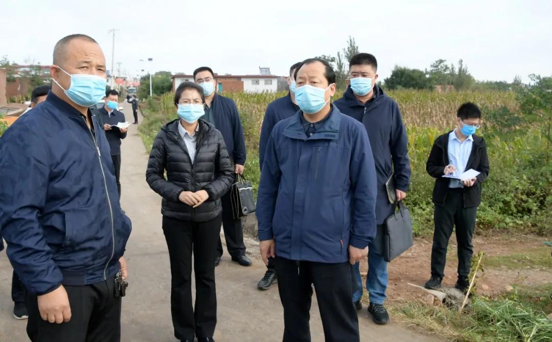 岳城乡未来繁荣蓝图，最新发展规划揭秘