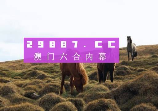 澳门开奖结果开奖记录表62期,互动策略解析_4K21.19