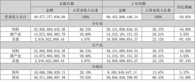 2024年新澳开奖结果,经典解释落实_纪念版96.724