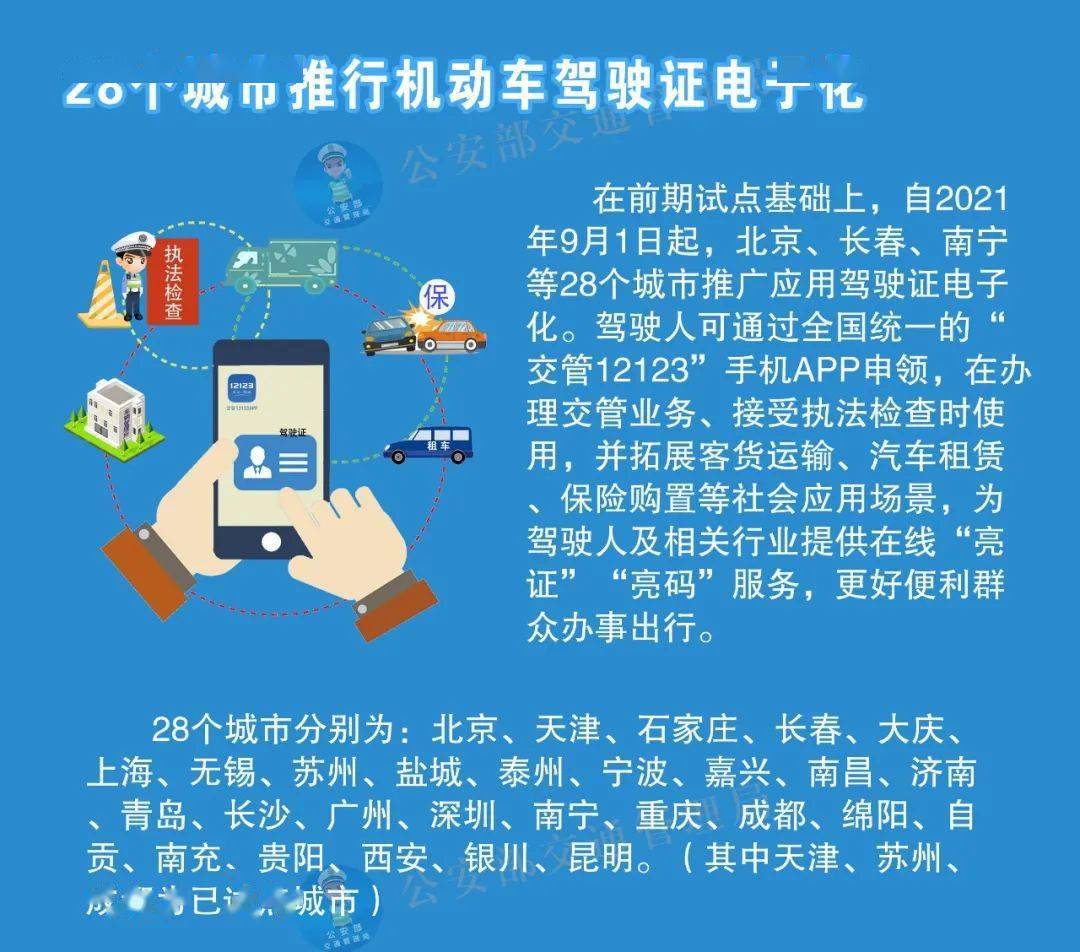 澳门最精准免费资料大全特色,实践验证解释定义_豪华款63.674