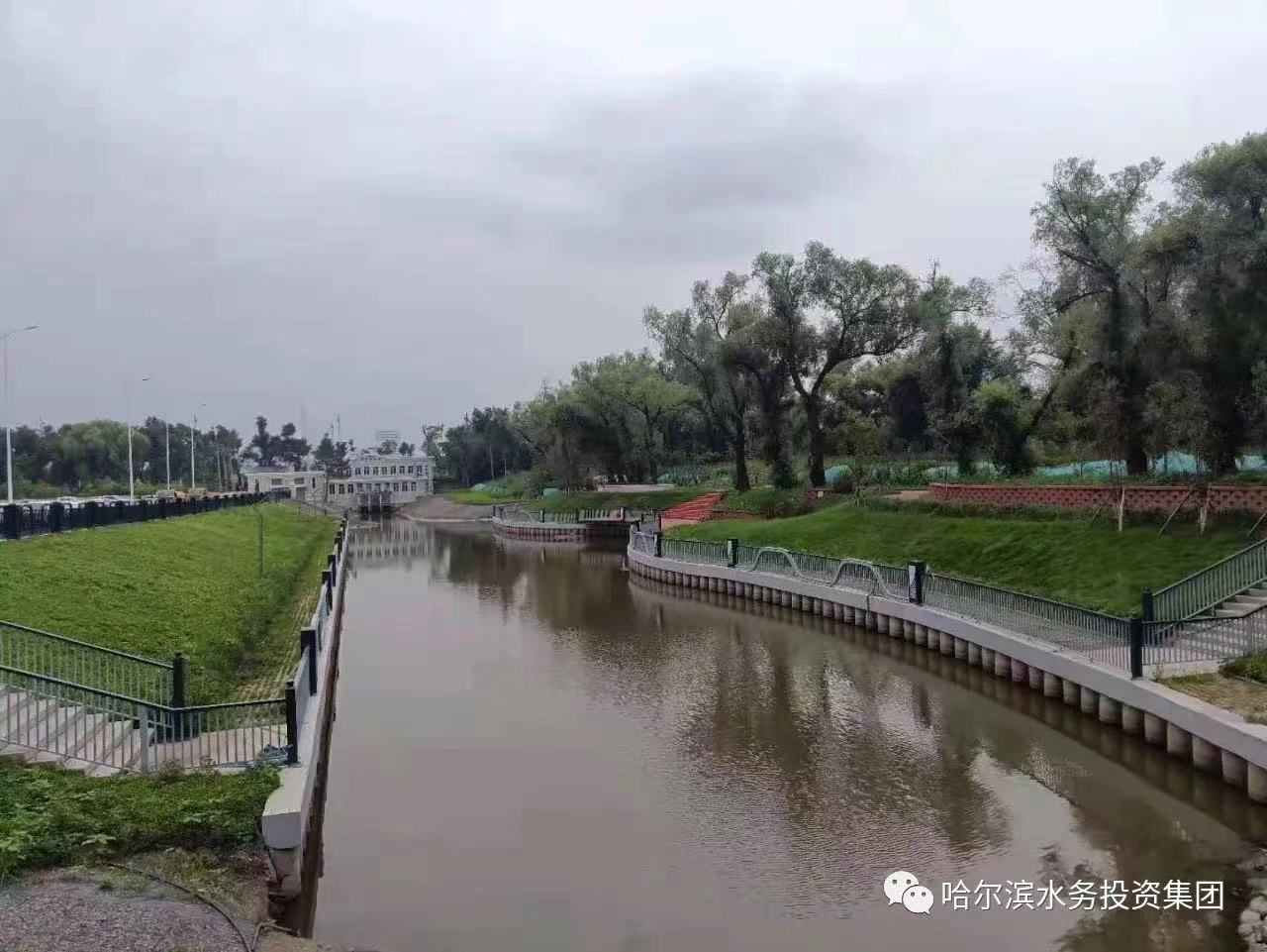 松北区水利局新项目引领水利建设新篇章进展报道