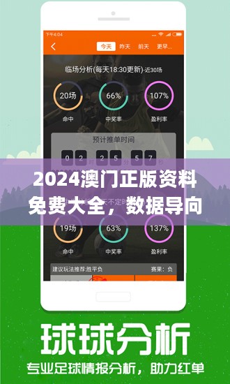 2024年新澳门王中王免费,深入执行数据方案_精简版105.220