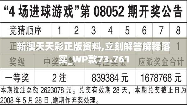 2024年新澳历史开奖记录,实践策略实施解析_游戏版13.35