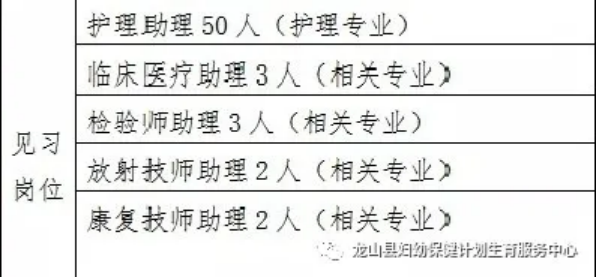 龙山区康复事业单位最新招聘概述与解析