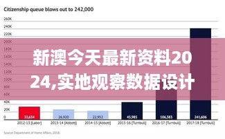 2024新澳精准,实地验证设计解析_挑战版45.226