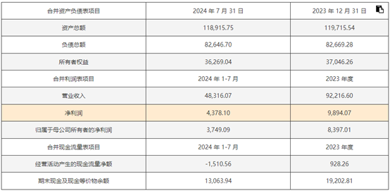 新澳2024年精准正版资料,实践性方案设计_经典款13.702