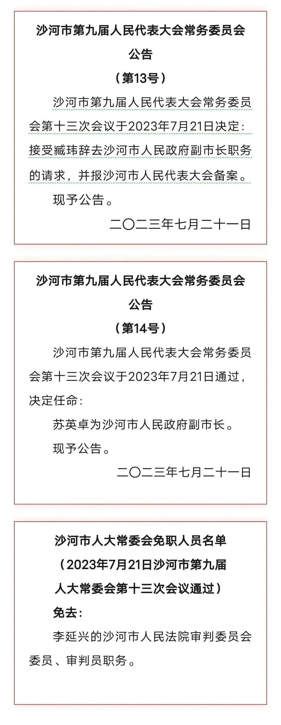 沙河市财政局重塑领导团队，推动事业发展的人事任命新动态