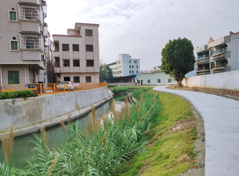 黄埔区水利局推动水利建设高质量发展，助力区域繁荣新篇章