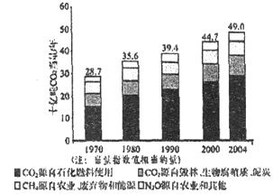 澳门天天好好免费资料,诠释分析解析_3K32.318