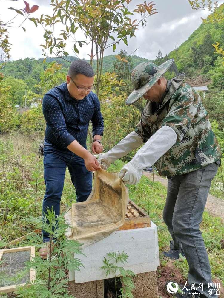 花红村新领导引领村庄迈向辉煌新篇章