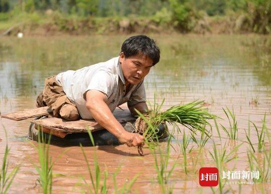 蓬安县康复事业单位新领导引领开启新篇章