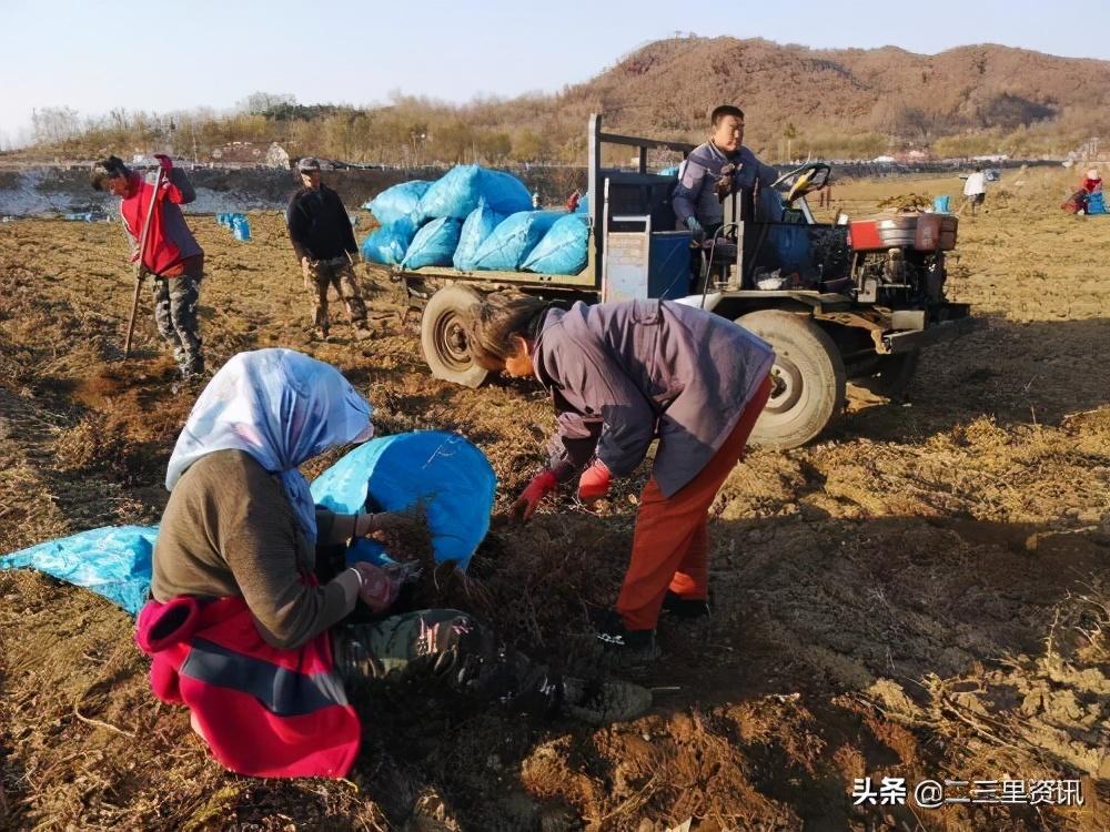 荒地满族镇领导最新概览