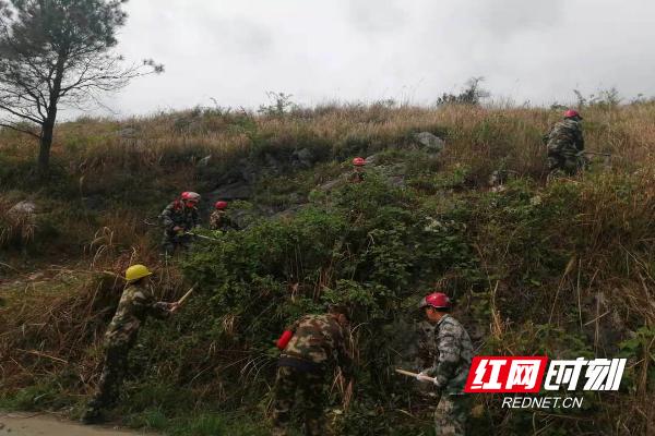 土桥农场天气预报更新通知