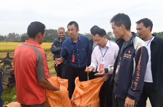 阳江林场田畔分场新闻动态深度解析