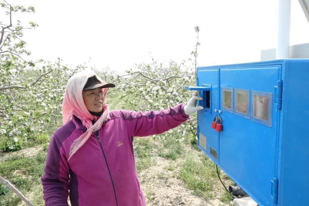 西平林场绿色发展新篇章，探索与实践最新项目