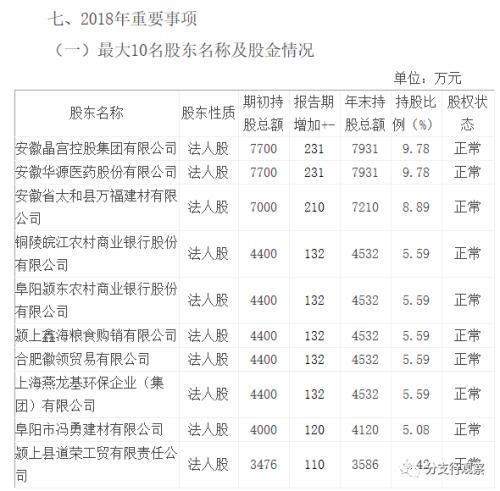 颍东区审计局最新动态报告发布