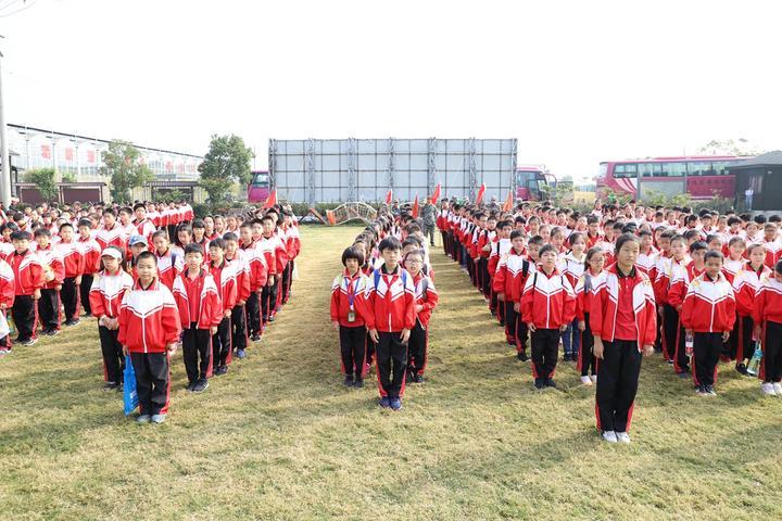 大通回族土族自治县小学最新动态报道