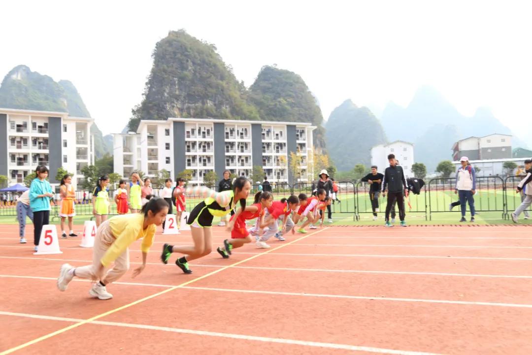 阳朔县小学最新项目，塑造未来教育蓝图