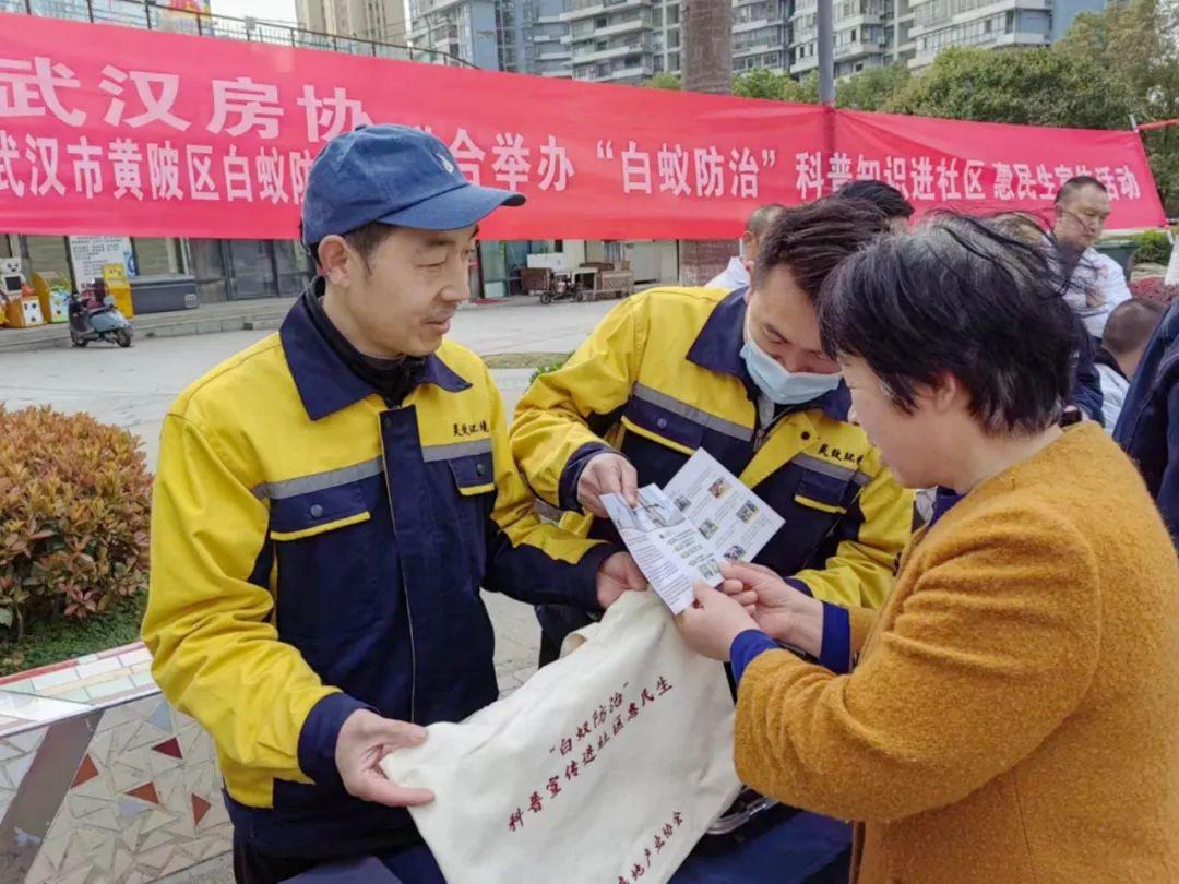 黄陂区文化局新项目，推动文化繁荣，塑造未来之光启航计划